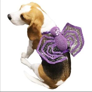 Dog Halloween Spider Costume Harness